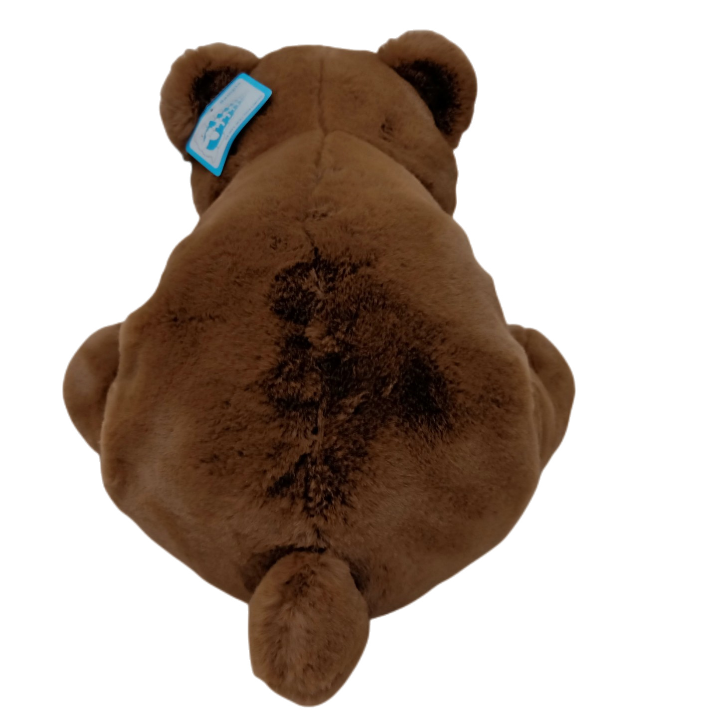 尊龙凯时(й)ٷվ