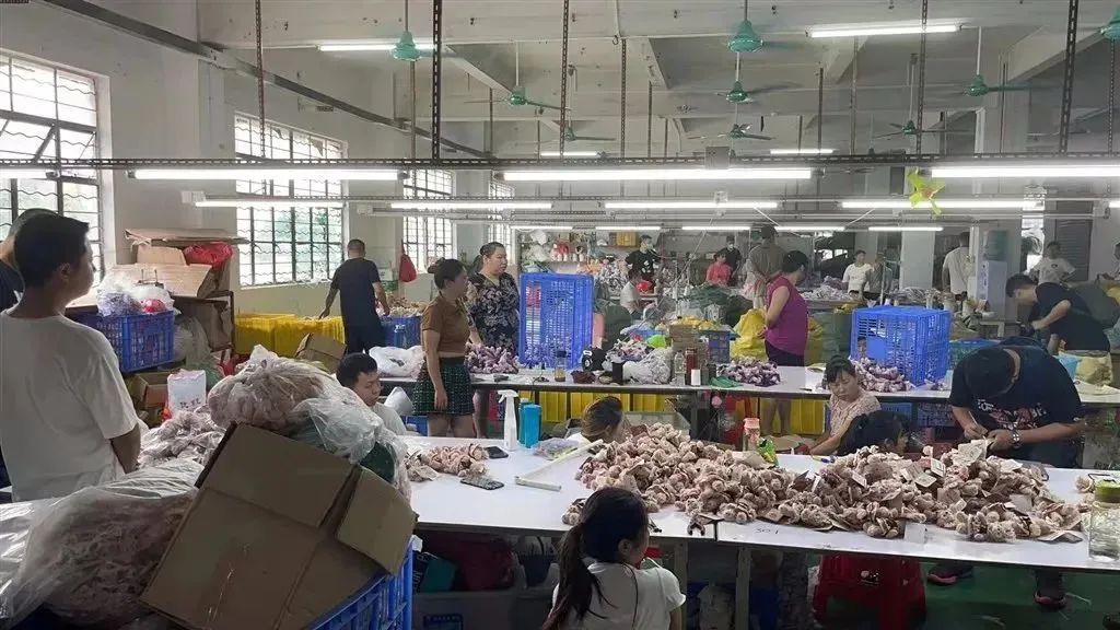 尊龙凯时��(�й���)�ٷ���վ